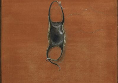 Mermaids purse by Diane Dicker archival print of lime fresco 39 x 26 cm (fr 61 x 48)